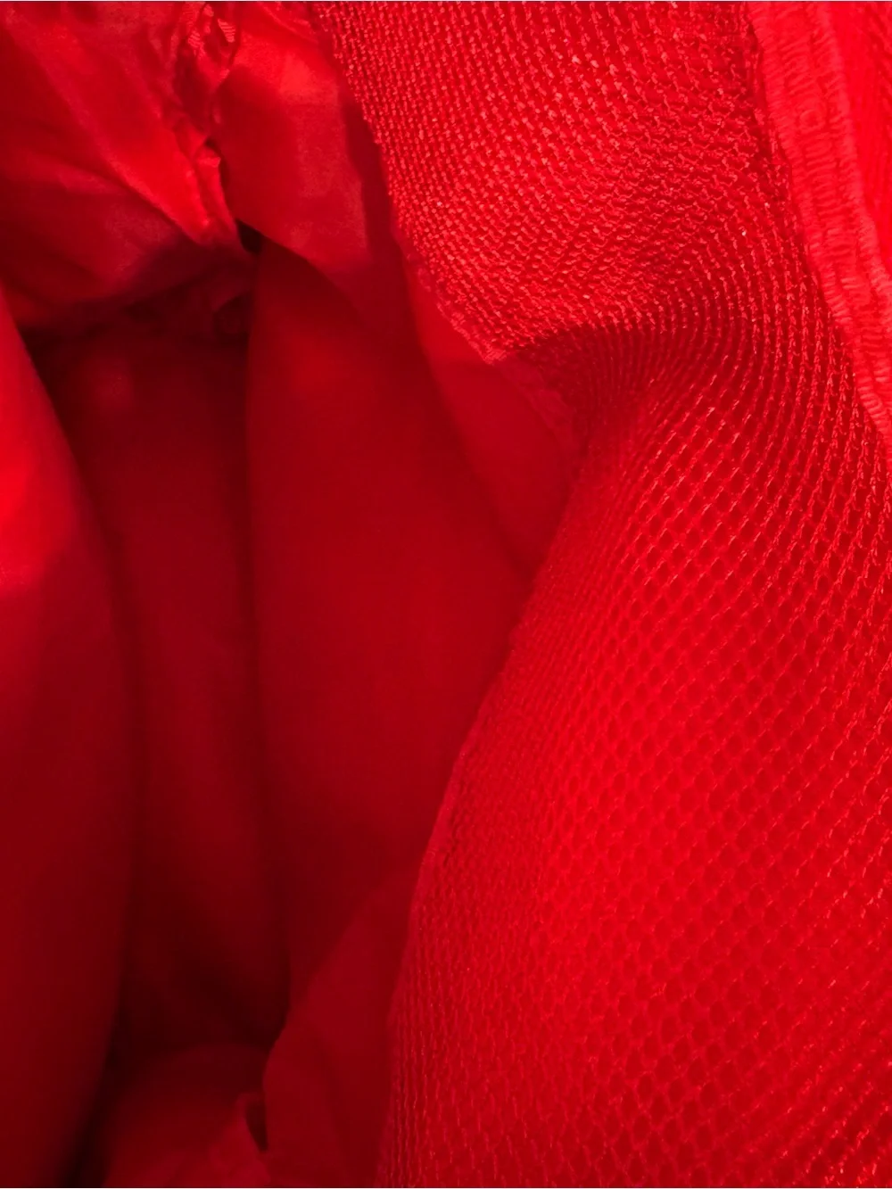 Sprayground iconic shark